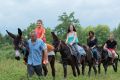 Donkey ride through Pedra Tosca Park