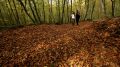 The heart of La Garrotxa Volcanic Zone Natural Park