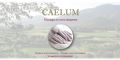 Caelum Massage 