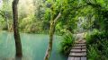 Swimming holes of Les Planes d'Hostoles