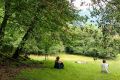 Forest bath in Alta Garrotxa