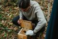 Tracking the gray dormice