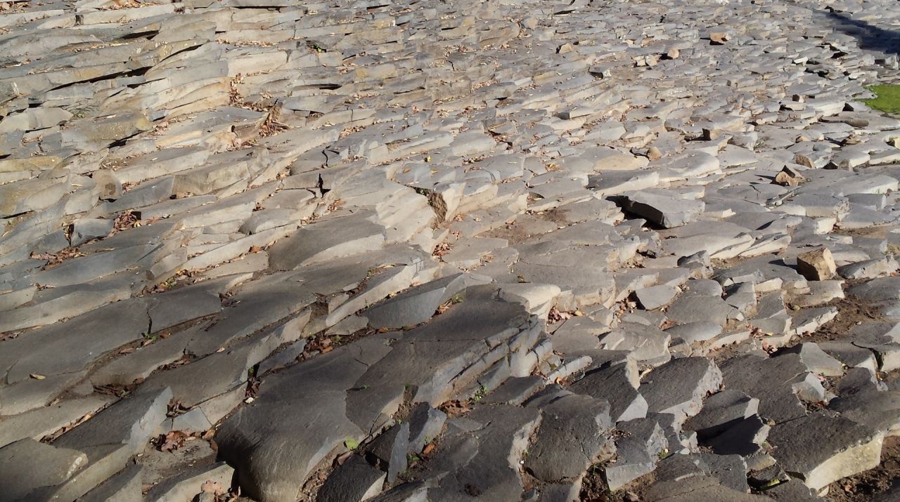 The basalt lava flows of Sant Joan les Fonts