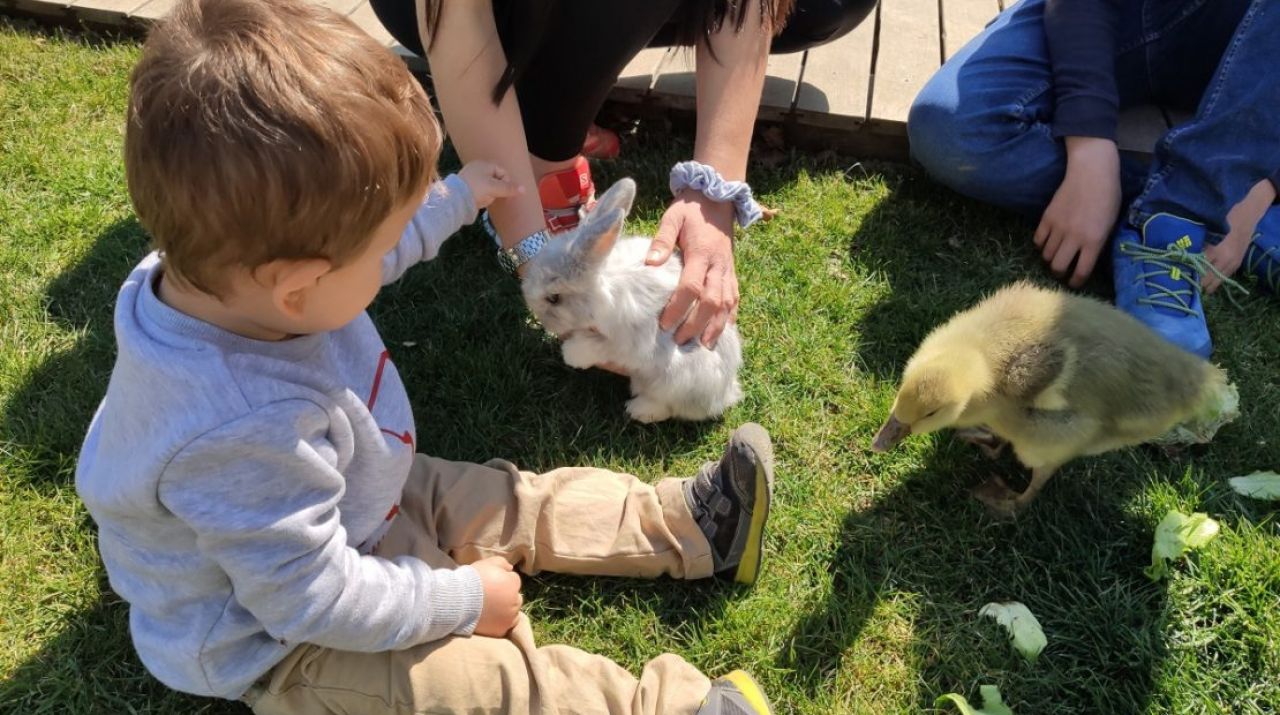 Farm tours