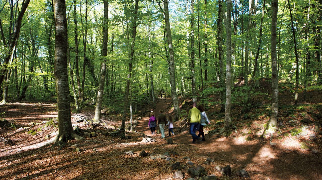 La Garrotxa Volcanic Zone Natural Park