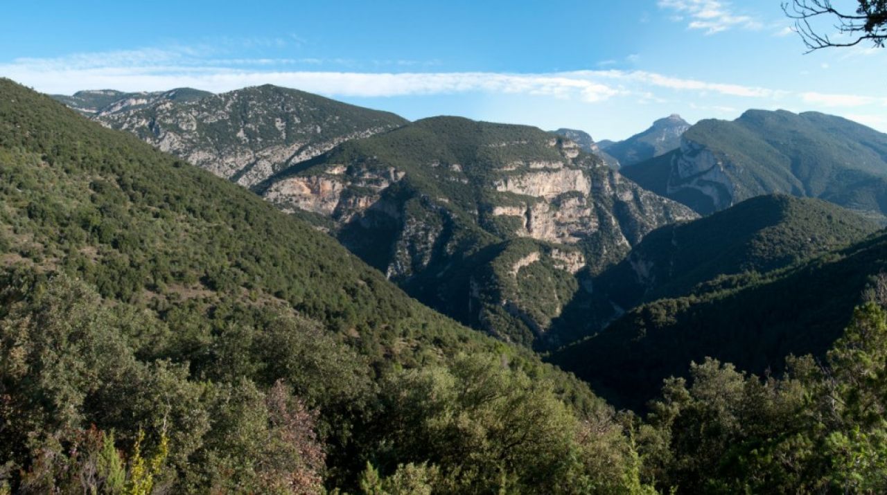 Alta Garrotxa