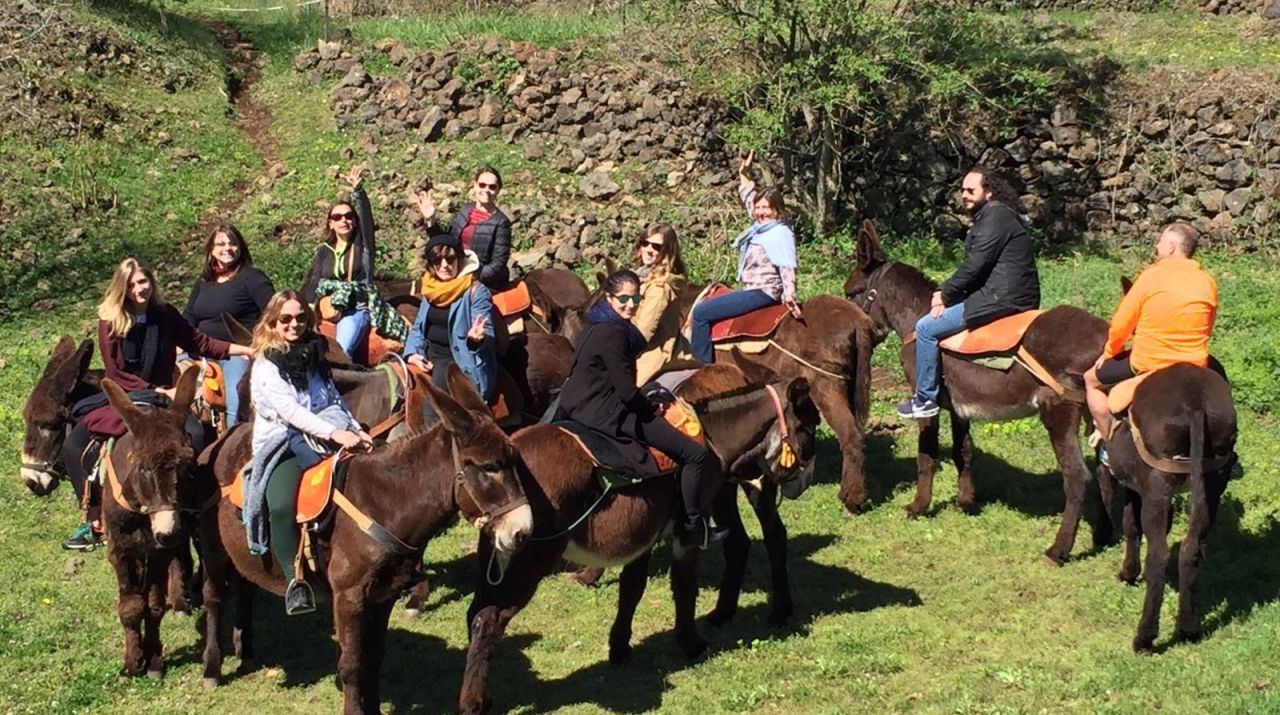On donkey
