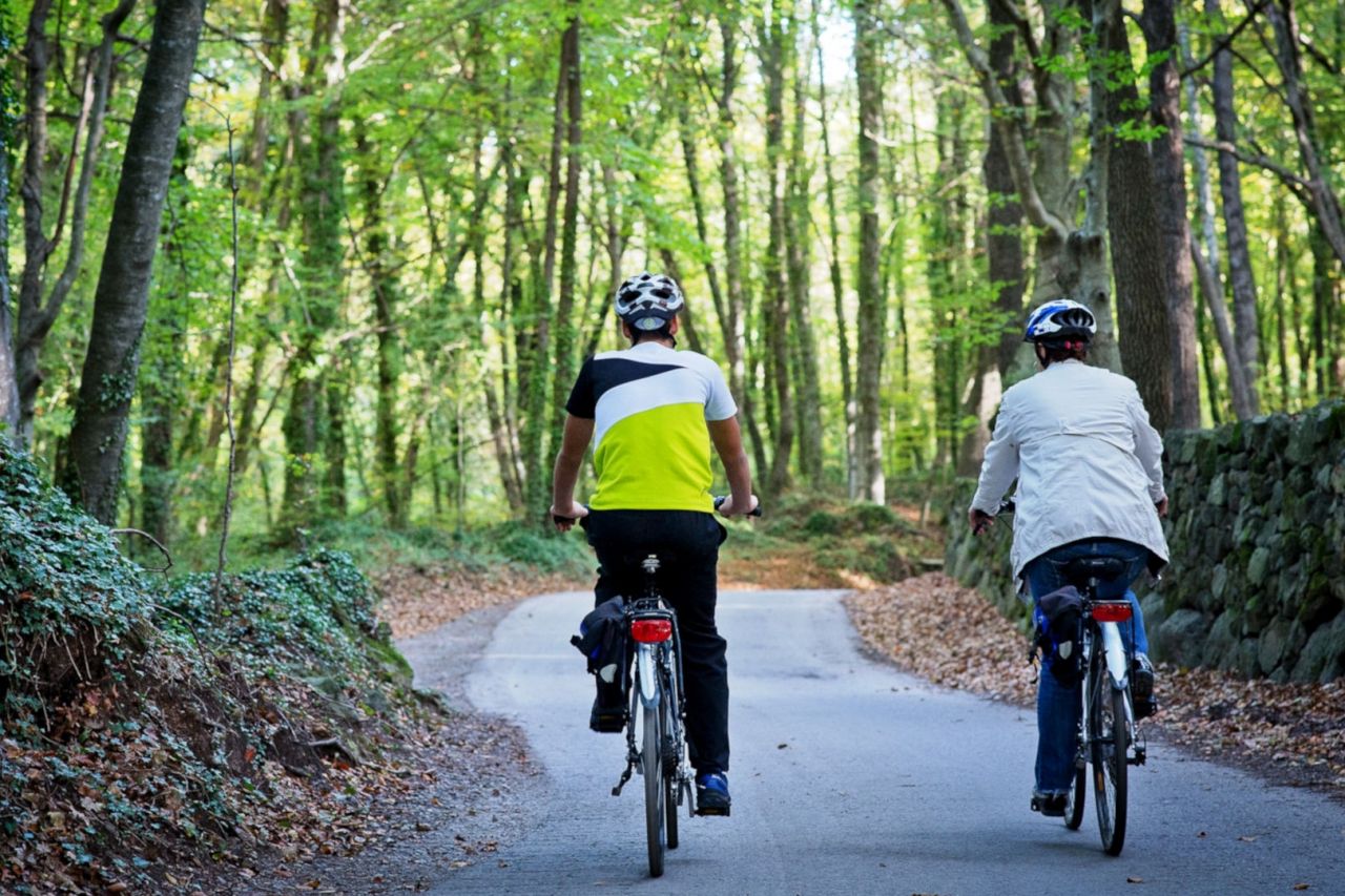 Discover the landscapes of La Garrotxa by bike