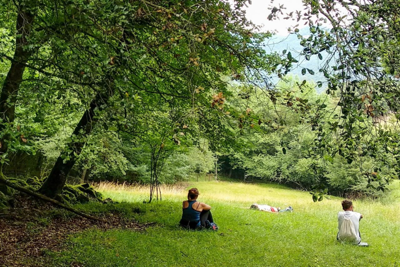Forest bath in Alta Garrotxa