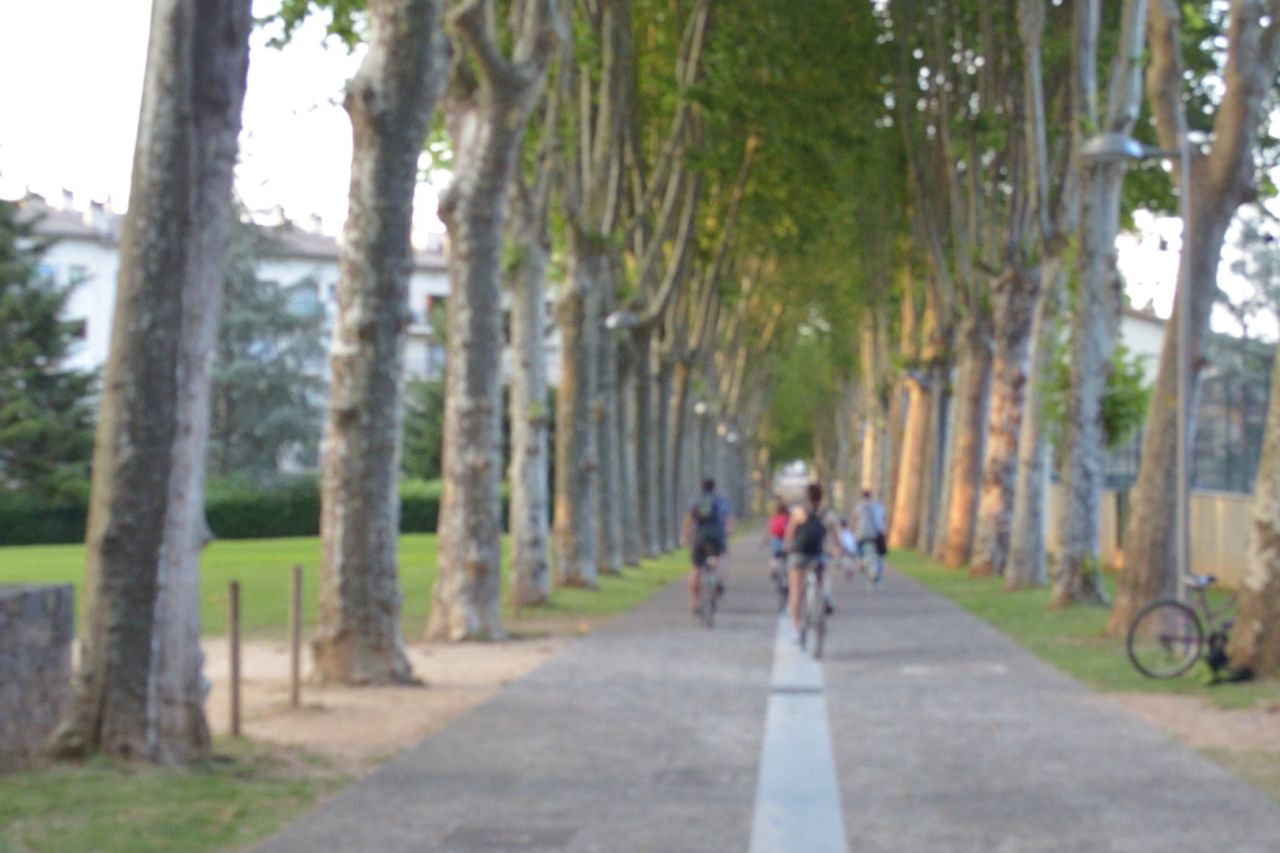 Summering in 20th century Olot by bike
