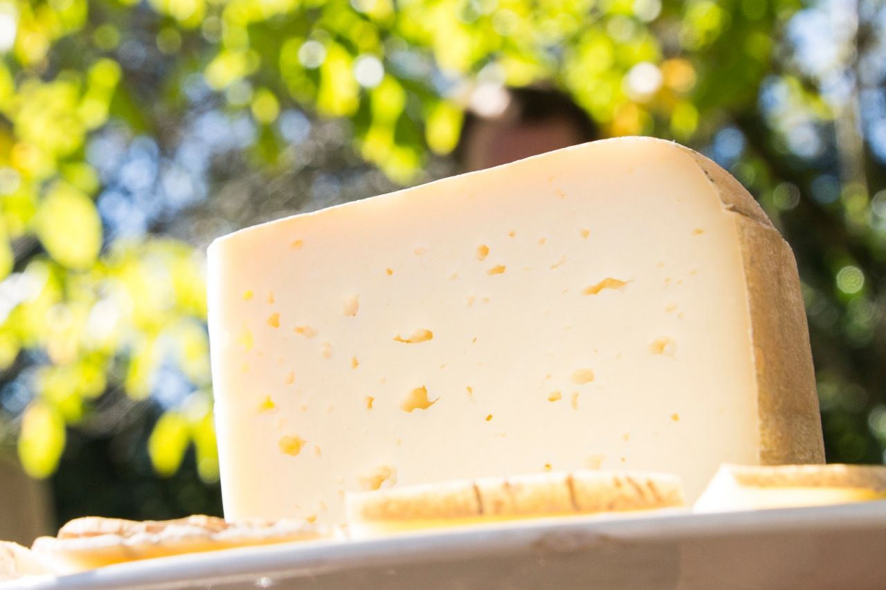 Savor the Garrotxa