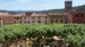 Els volcans i nucli històric de Sant Feliu de Pallerols