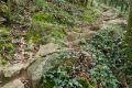 Ruta Xenacs pel camí de les Barrincoles i mirador de puig Rodó. Ruta 2 Les Preses