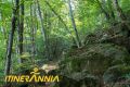 Xenacs pel camí dels Bous i mirador de puig Rodó. Ruta 3 Les Preses