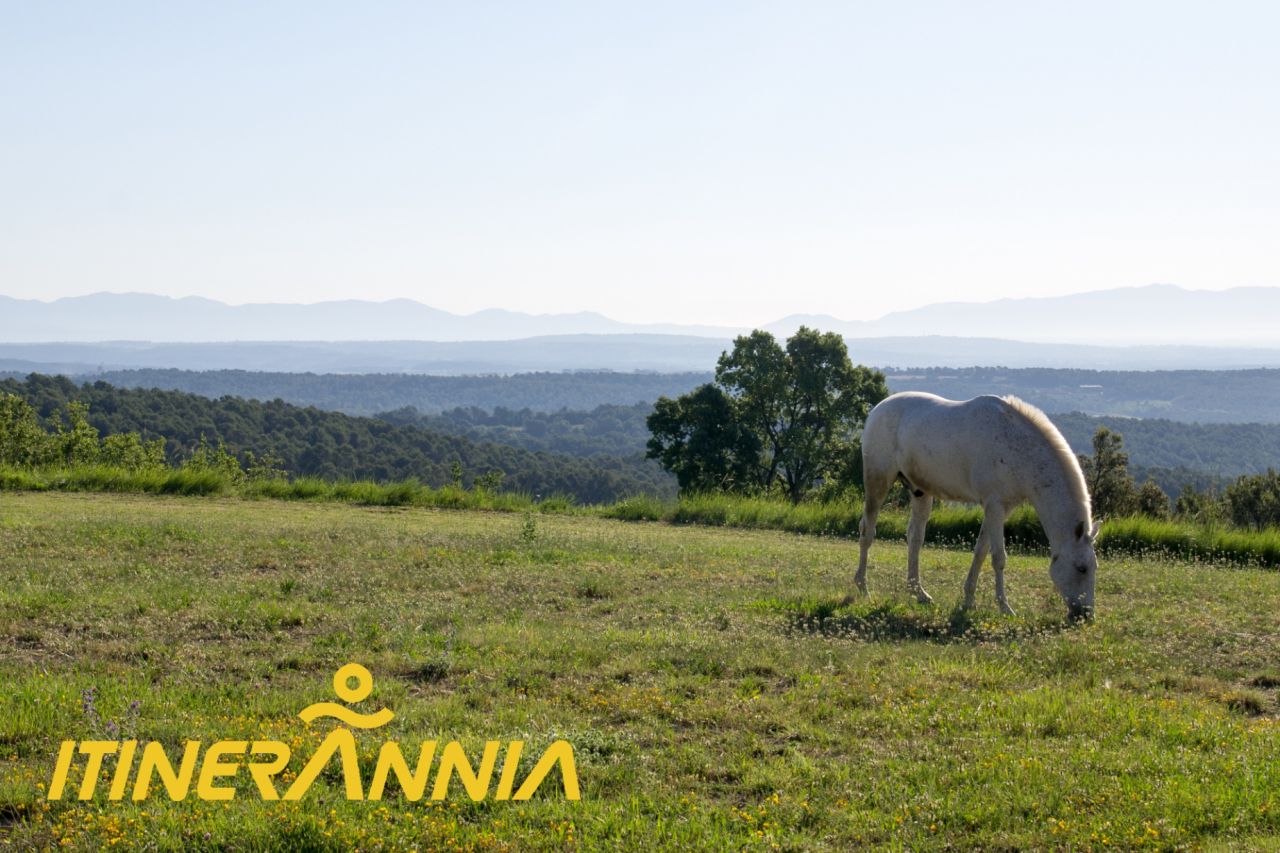 El balcó de la Garrotxa. Ruta 1 Maià de Montcal