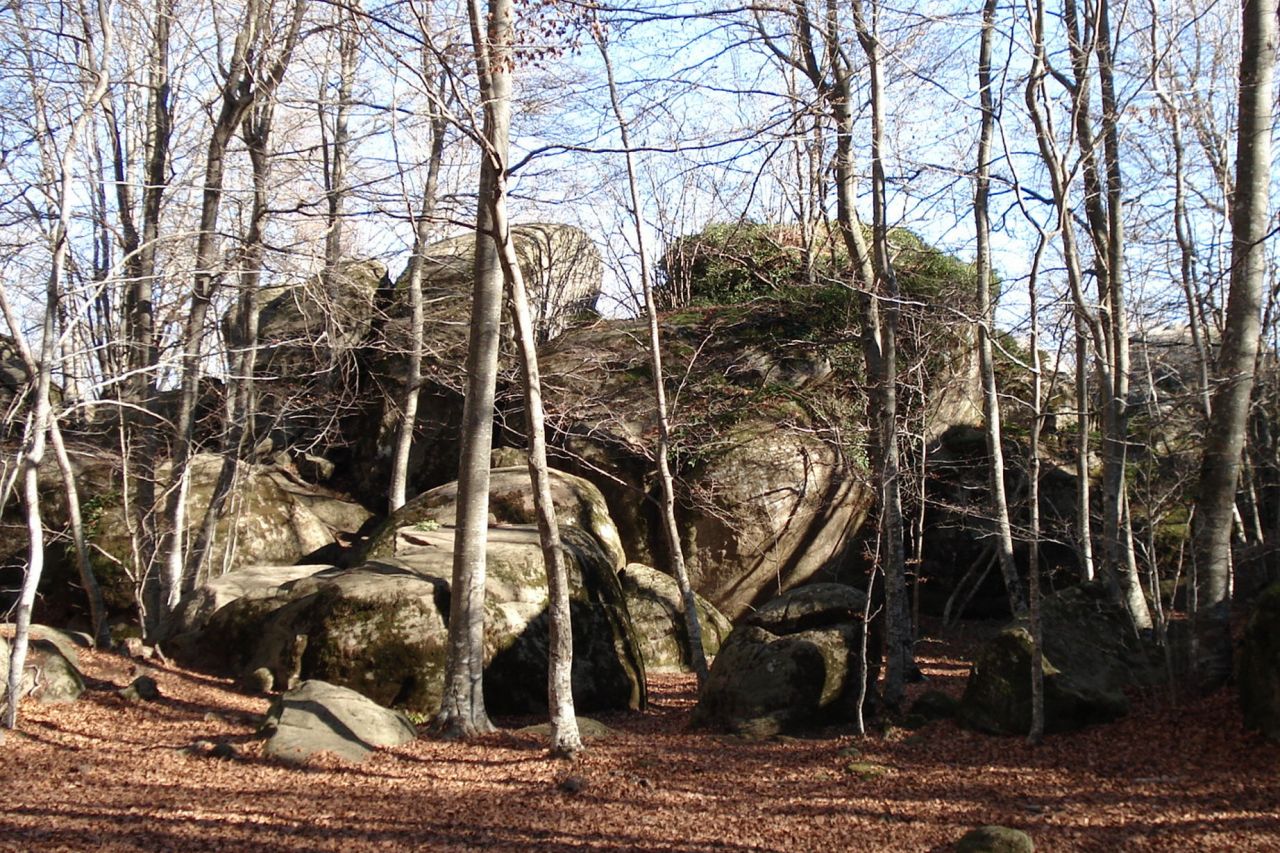 Sant Feliu de Pallerols - Coll de Condreu. Itinerari 20 Parc Natural