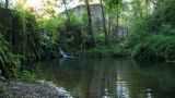 Ruta dels gorgs. Ruta 3 Santa Pau