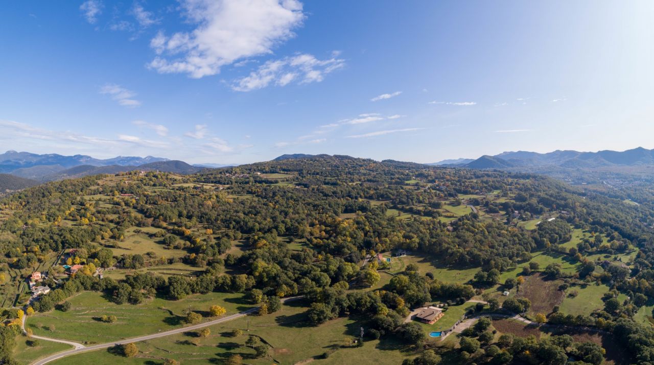 Olot