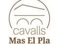 Cavalls Mas El Pla